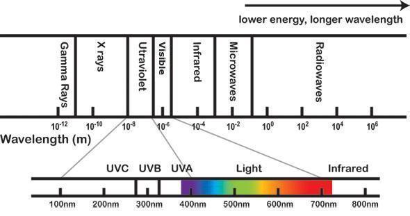 UltraViolet Ray 